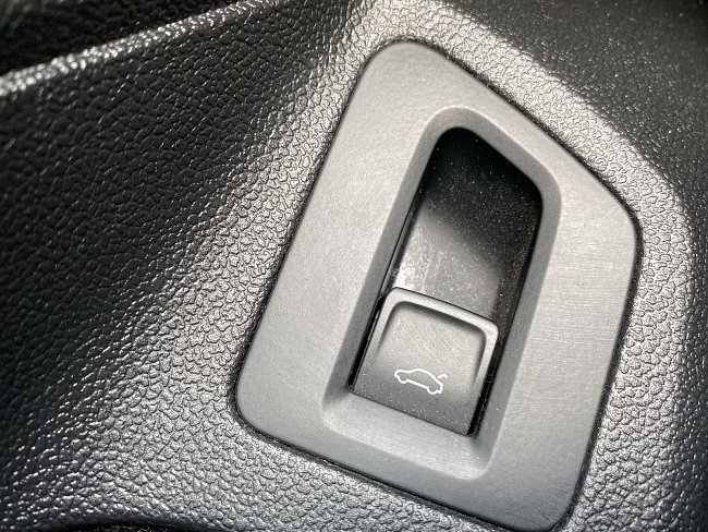 20199863.jpg